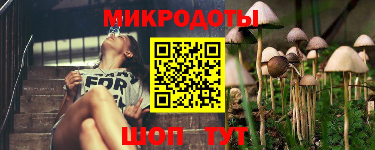 Свободный  даркнет сайт  Вход с VPN  Галлюциногенные грибы MAGIC MUSHROOMS 