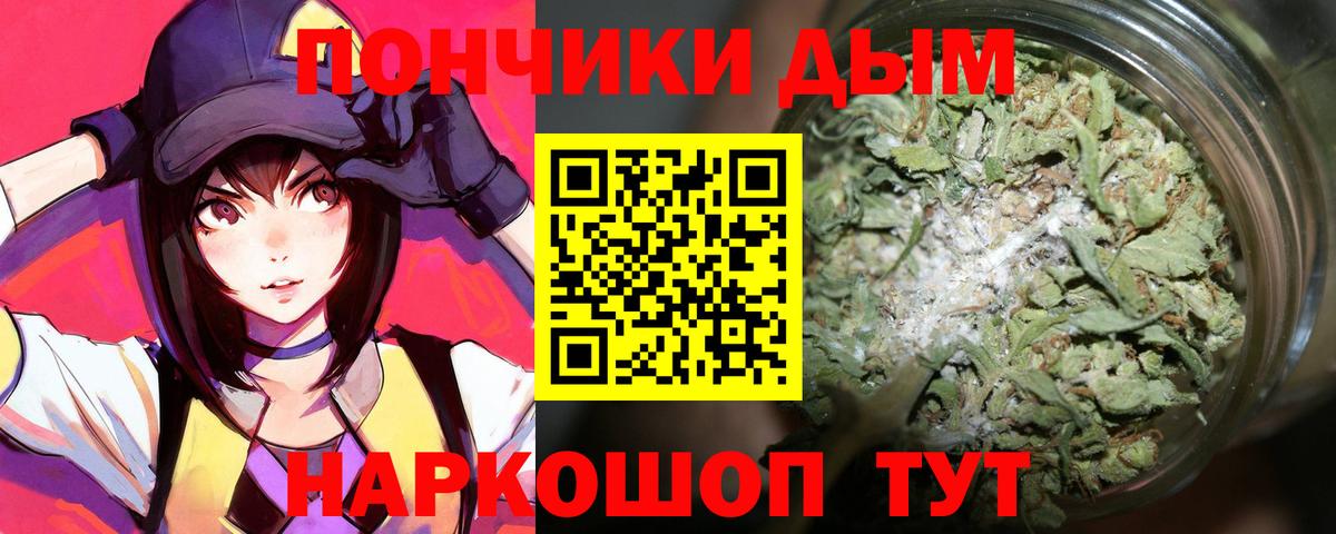 Бошки марихуана сатива Свободный